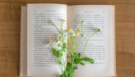 花と本